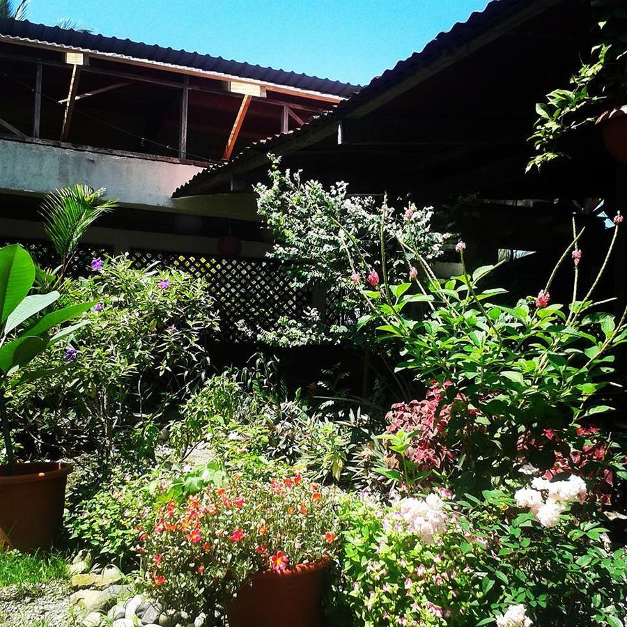 Hotel Puerto Viejo Puerto Viejo de Talamanca Exterior foto